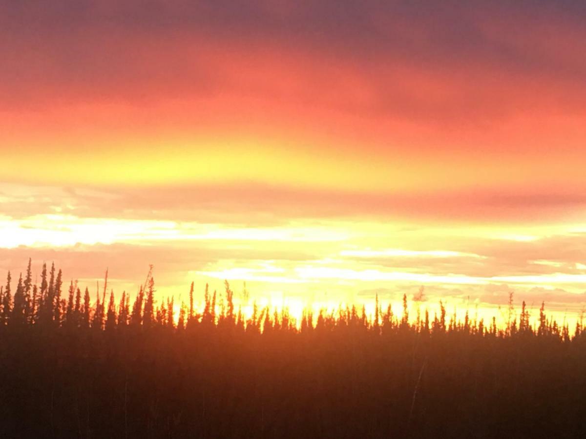 Fireweed Roadhouse Villa Nenana Dış mekan fotoğraf