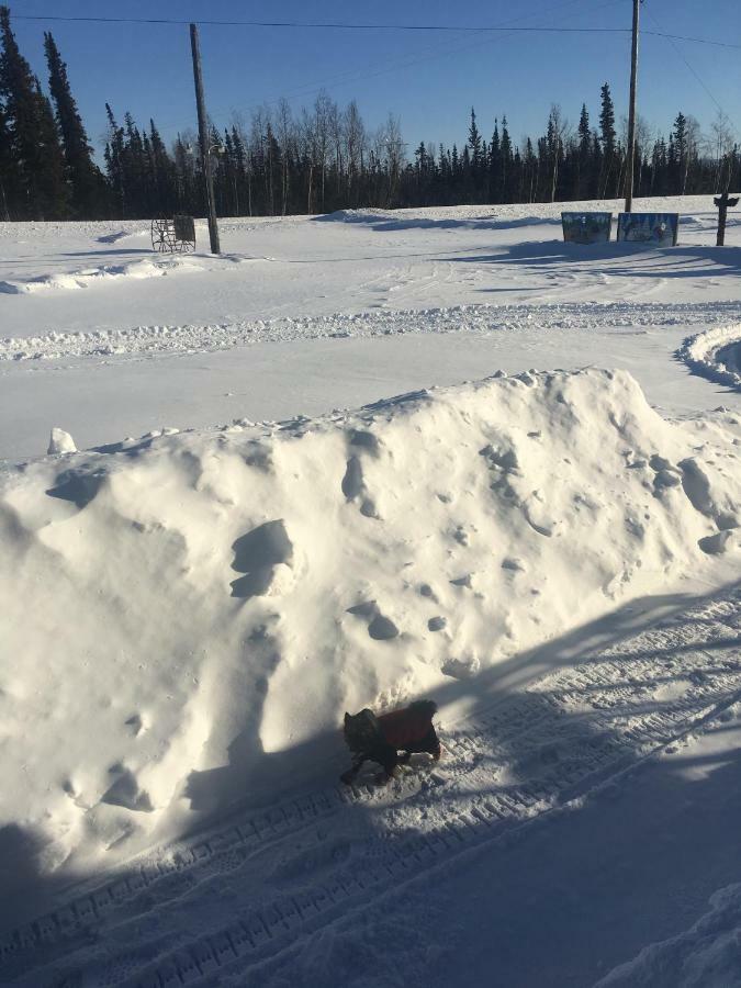 Fireweed Roadhouse Villa Nenana Dış mekan fotoğraf