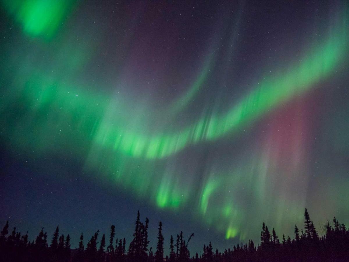 Fireweed Roadhouse Villa Nenana Dış mekan fotoğraf
